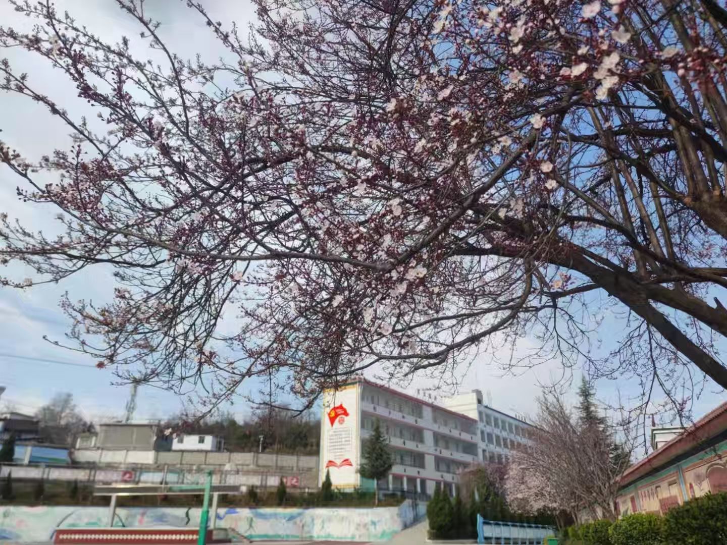 诗人头像