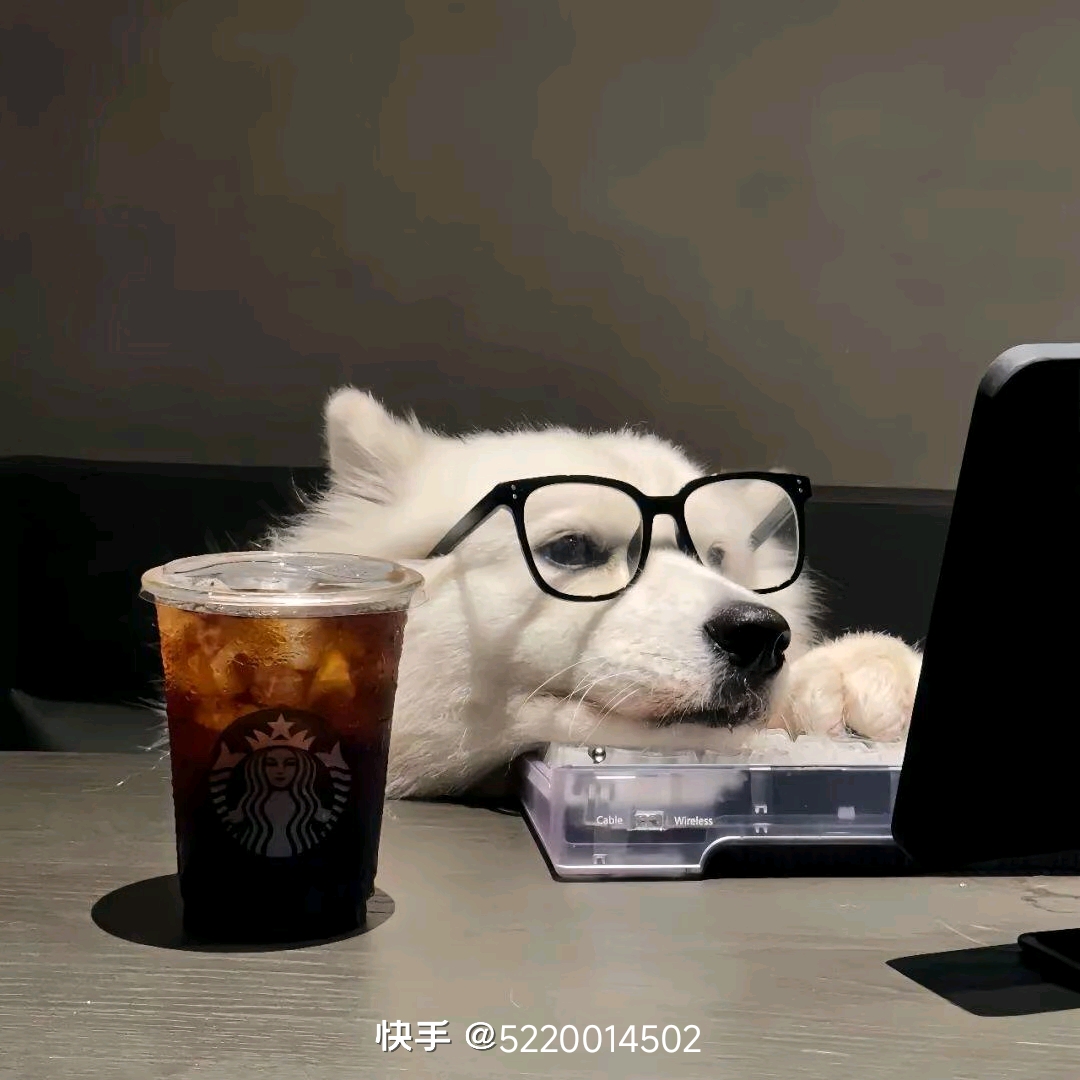 诗人头像