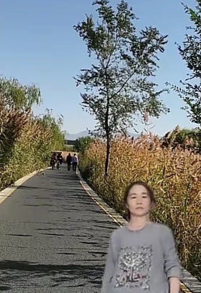 诗人头像
