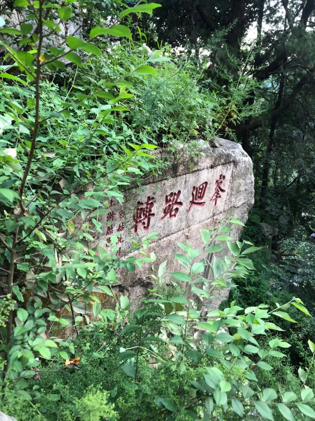 诗人头像