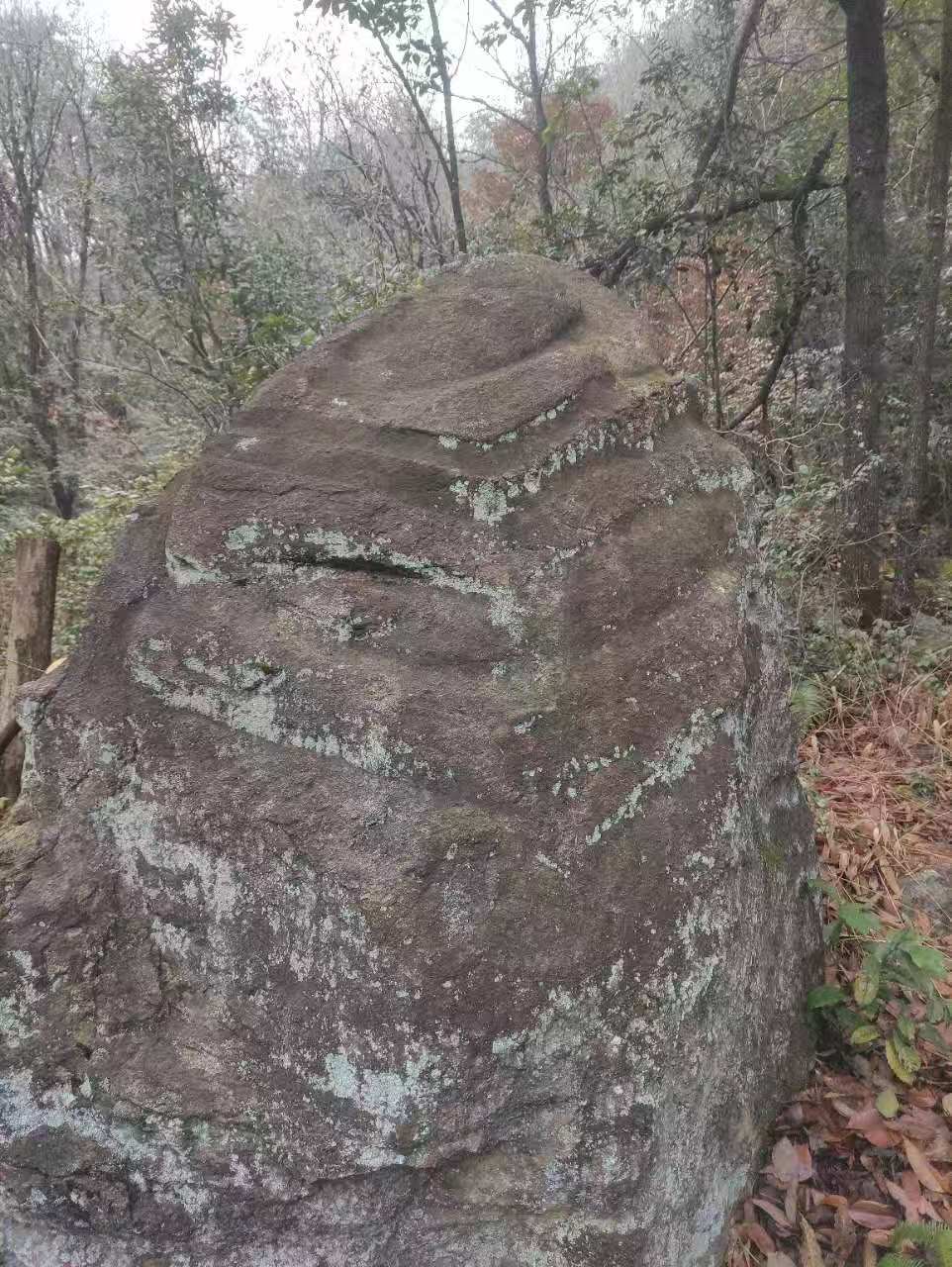 诗人头像
