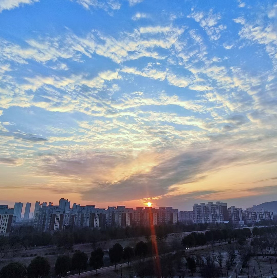 诗人头像