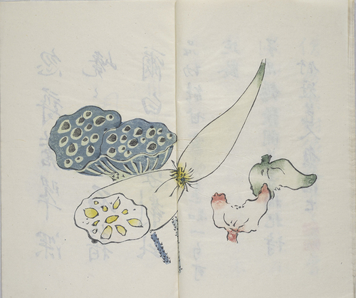 忽寻苍翠深 忽寻苍翠深