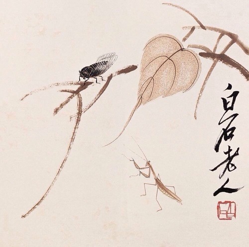 a7295e45jw1ev04n2zt6qj20rs0rjdkk