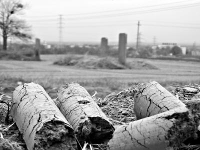 曹操曾是最专业的盗墓狂人?