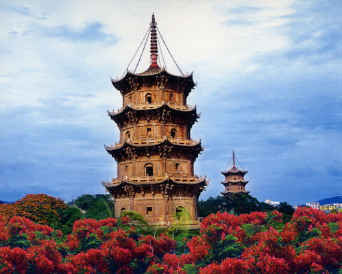 东西塔与刺桐花