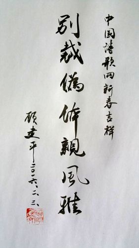 《中华辞赋》总编辑顾建平寄语