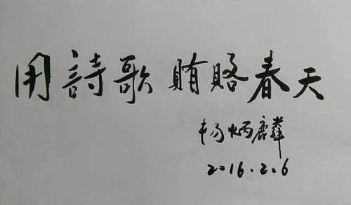 《河南诗人》主编、诗人杨炳麟新春寄语