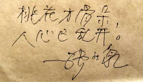 著名诗人张新泉新春寄语：“桃花才骨朵，人心已乱开。”