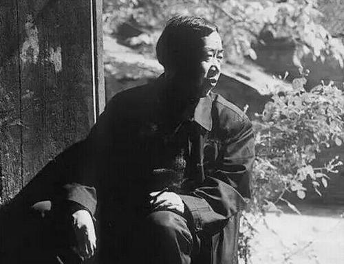 贾平凹：《极花》何尝不是写我自己的恐惧和无奈？