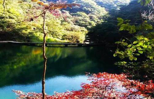 QQ截图20160322121008