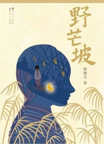《野芒坡》，殷健灵/著，人民文学出版社、天天出版社2016年3月第一版，22.00元