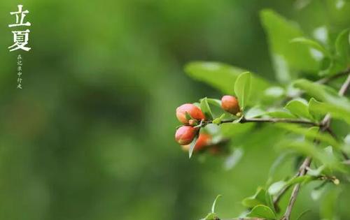 QQ截图20160506020739