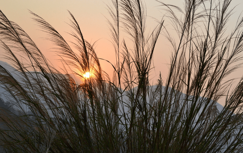 QQ截图20160510101457