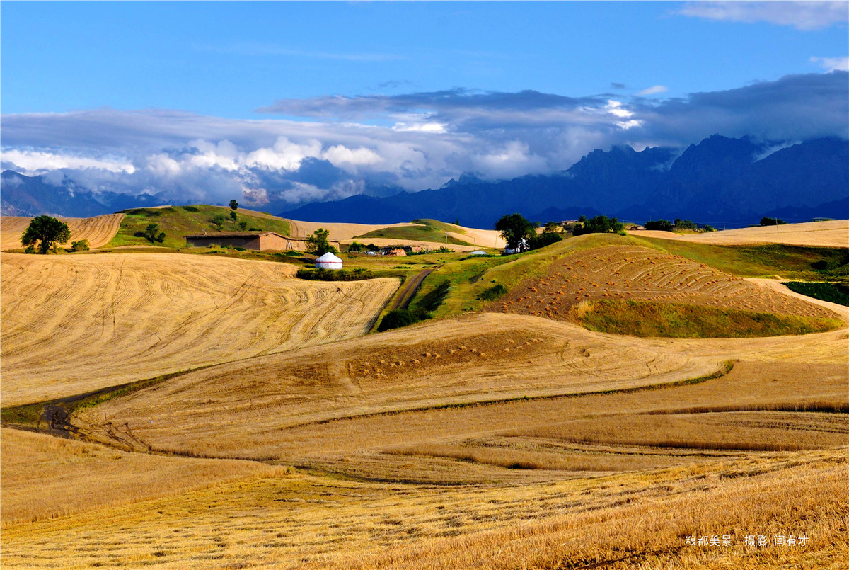 高山牧场、牛羊成群；山峦起伏，麦浪翻涌。这里有古城风貌，有草原风情，更有吃不完的美食。赏奇台美景之余，敬请参加奇台县“迎中秋、庆十一”诗歌征稿活动！获奖诗人可赴新疆奇台参加“迎中秋、庆十一”诗歌朗诵会，亲自观赏美景、品尝美食，往返交通及食宿费用由主办方承担！<a href="http://www.zgshige.cn/c/2016-08-10/1622271.shtml" target="_blank">点击此处查看投稿方式</a>
