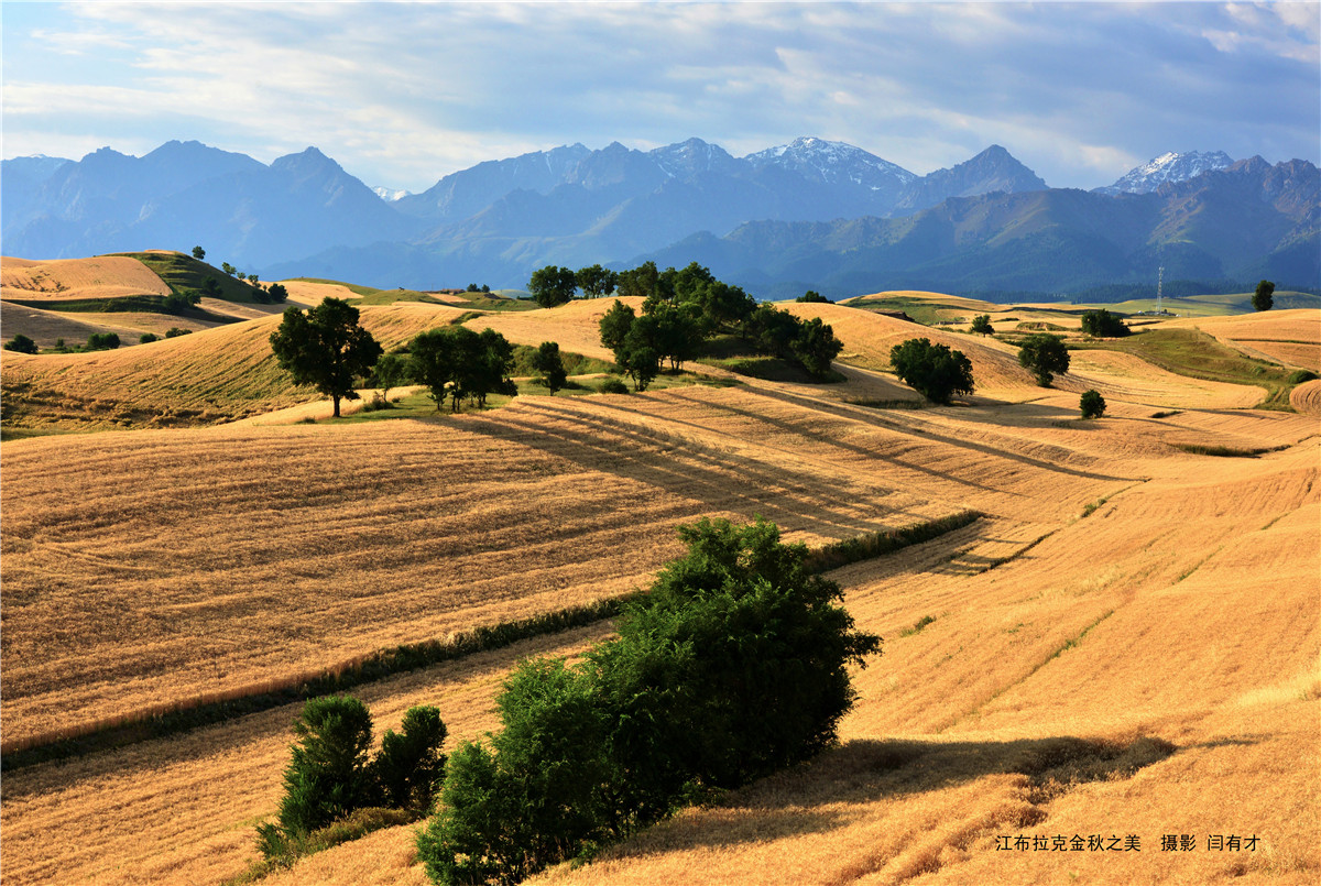 高山牧场、牛羊成群；山峦起伏，麦浪翻涌。这里有古城风貌，有草原风情，更有吃不完的美食。赏奇台美景之余，敬请参加奇台县“迎中秋、庆十一”诗歌征稿活动！获奖诗人可赴新疆奇台参加“迎中秋、庆十一”诗歌朗诵会，亲自观赏美景、品尝美食，往返交通及食宿费用由主办方承担！<a href="http://www.zgshige.cn/c/2016-08-10/1622271.shtml" target="_blank">点击此处查看投稿方式</a>