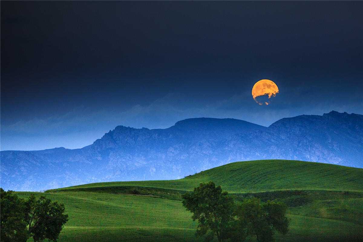 高山牧场、牛羊成群；山峦起伏，麦浪翻涌。这里有古城风貌，有草原风情，更有吃不完的美食。赏奇台美景之余，敬请参加奇台县“迎中秋、庆十一”诗歌征稿活动！获奖诗人可赴新疆奇台参加“迎中秋、庆十一”诗歌朗诵会，亲自观赏美景、品尝美食，往返交通及食宿费用由主办方承担！<a href="http://www.zgshige.cn/c/2016-08-10/1622271.shtml" target="_blank">点击此处查看投稿方式</a>