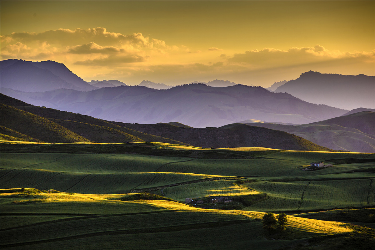 高山牧场、牛羊成群；山峦起伏，麦浪翻涌。这里有古城风貌，有草原风情，更有吃不完的美食。赏奇台美景之余，敬请参加奇台县“迎中秋、庆十一”诗歌征稿活动！获奖诗人可赴新疆奇台参加“迎中秋、庆十一”诗歌朗诵会，亲自观赏美景、品尝美食，往返交通及食宿费用由主办方承担！<a href="http://www.zgshige.cn/c/2016-08-10/1622271.shtml" target="_blank">点击此处查看投稿方式</a>