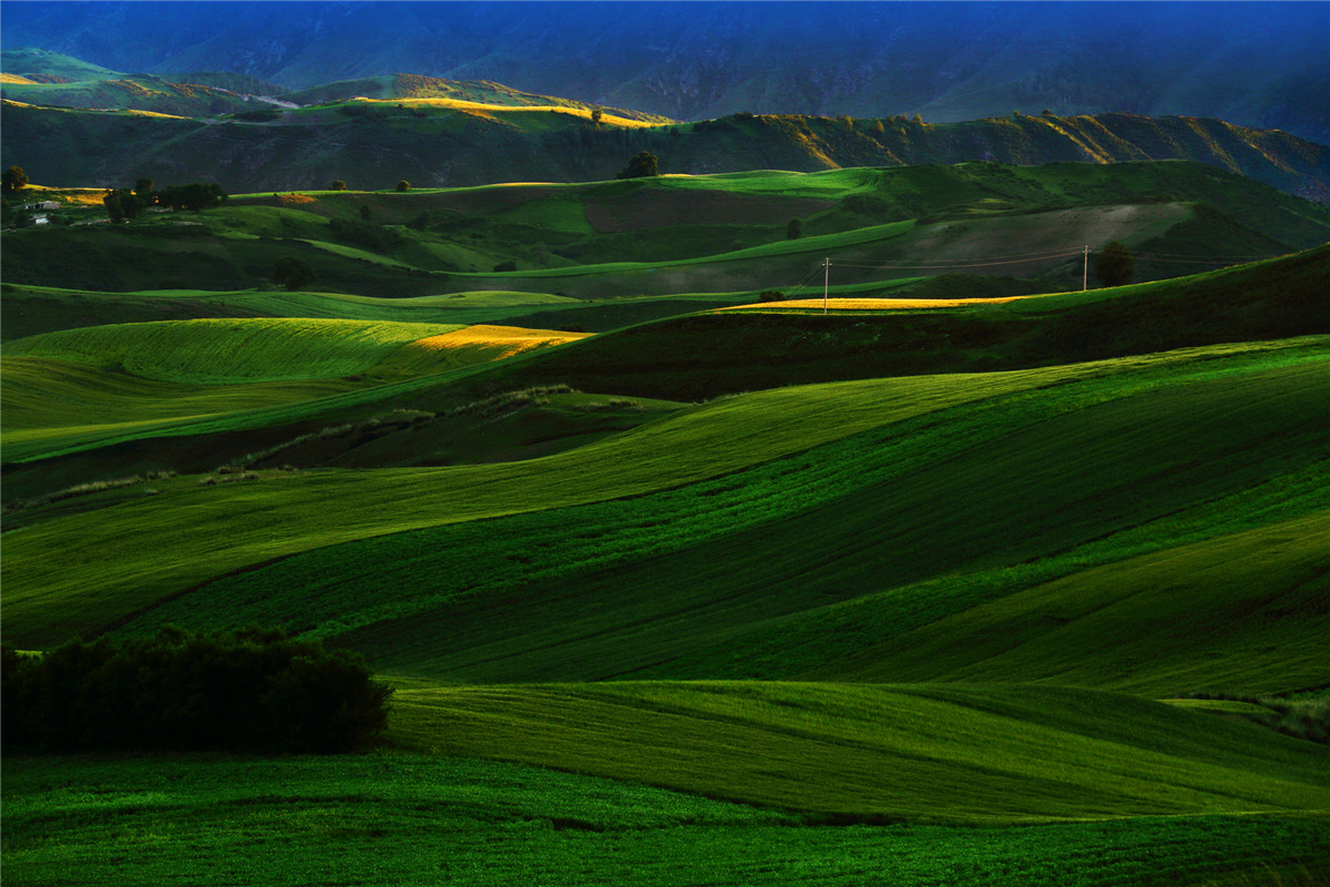 高山牧场、牛羊成群；山峦起伏，麦浪翻涌。这里有古城风貌，有草原风情，更有吃不完的美食。赏奇台美景之余，敬请参加奇台县“迎中秋、庆十一”诗歌征稿活动！获奖诗人可赴新疆奇台参加“迎中秋、庆十一”诗歌朗诵会，亲自观赏美景、品尝美食，往返交通及食宿费用由主办方承担！<a href="http://www.zgshige.cn/c/2016-08-10/1622271.shtml" target="_blank">点击此处查看投稿方式</a>