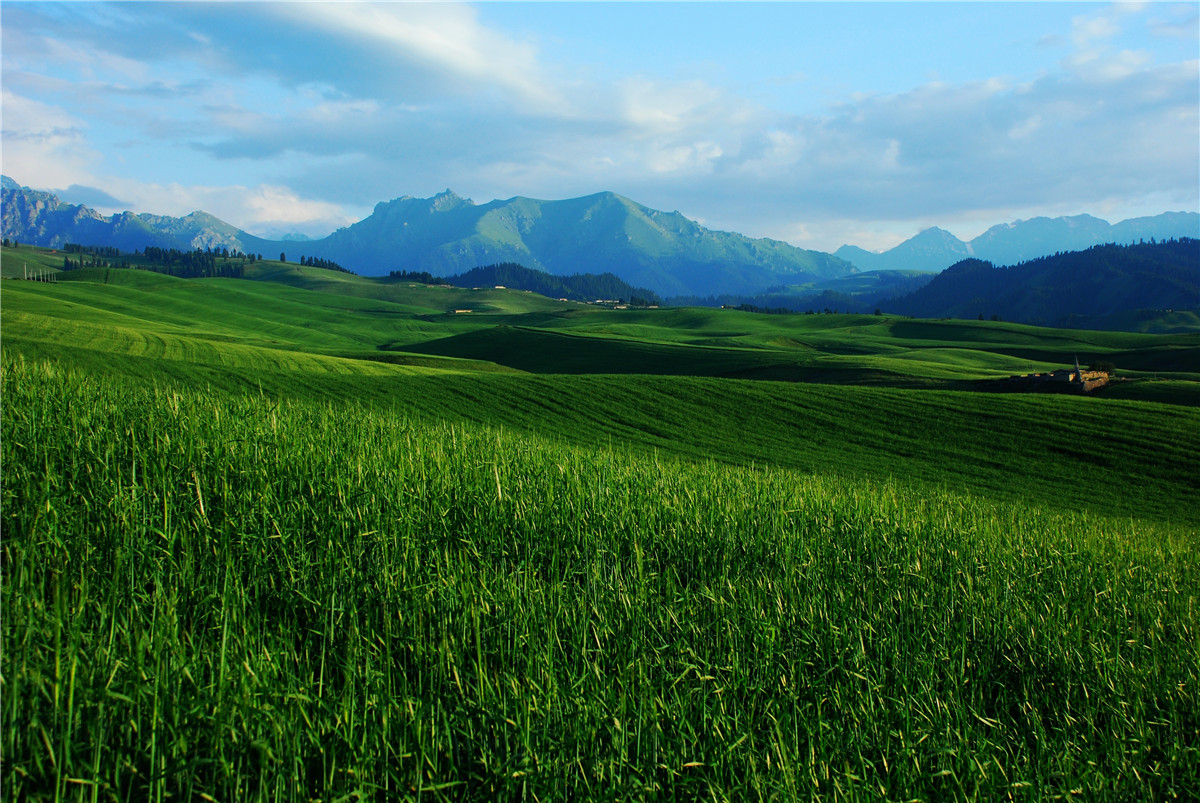 高山牧场、牛羊成群；山峦起伏，麦浪翻涌。这里有古城风貌，有草原风情，更有吃不完的美食。赏奇台美景之余，敬请参加奇台县“迎中秋、庆十一”诗歌征稿活动！获奖诗人可赴新疆奇台参加“迎中秋、庆十一”诗歌朗诵会，亲自观赏美景、品尝美食，往返交通及食宿费用由主办方承担！<a href="http://www.zgshige.cn/c/2016-08-10/1622271.shtml" target="_blank">点击此处查看投稿方式</a>