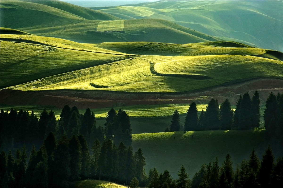 高山牧场、牛羊成群；山峦起伏，麦浪翻涌。这里有古城风貌，有草原风情，更有吃不完的美食。赏奇台美景之余，敬请参加奇台县“迎中秋、庆十一”诗歌征稿活动！获奖诗人可赴新疆奇台参加“迎中秋、庆十一”诗歌朗诵会，亲自观赏美景、品尝美食，往返交通及食宿费用由主办方承担！<a href="http://www.zgshige.cn/c/2016-08-10/1622271.shtml" target="_blank">点击此处查看投稿方式</a>