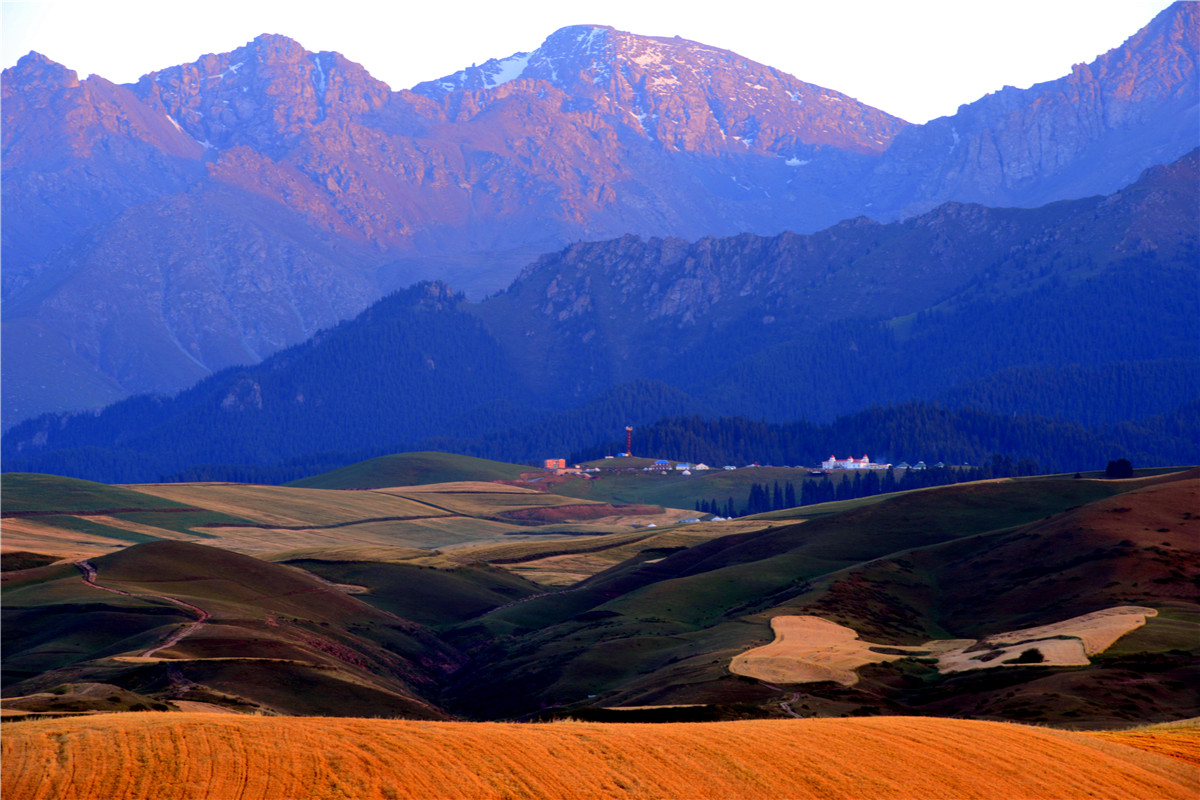 高山牧场、牛羊成群；山峦起伏，麦浪翻涌。这里有古城风貌，有草原风情，更有吃不完的美食。赏奇台美景之余，敬请参加奇台县“迎中秋、庆十一”诗歌征稿活动！获奖诗人可赴新疆奇台参加“迎中秋、庆十一”诗歌朗诵会，亲自观赏美景、品尝美食，往返交通及食宿费用由主办方承担！<a href="http://www.zgshige.cn/c/2016-08-10/1622271.shtml" target="_blank">点击此处查看投稿方式</a>