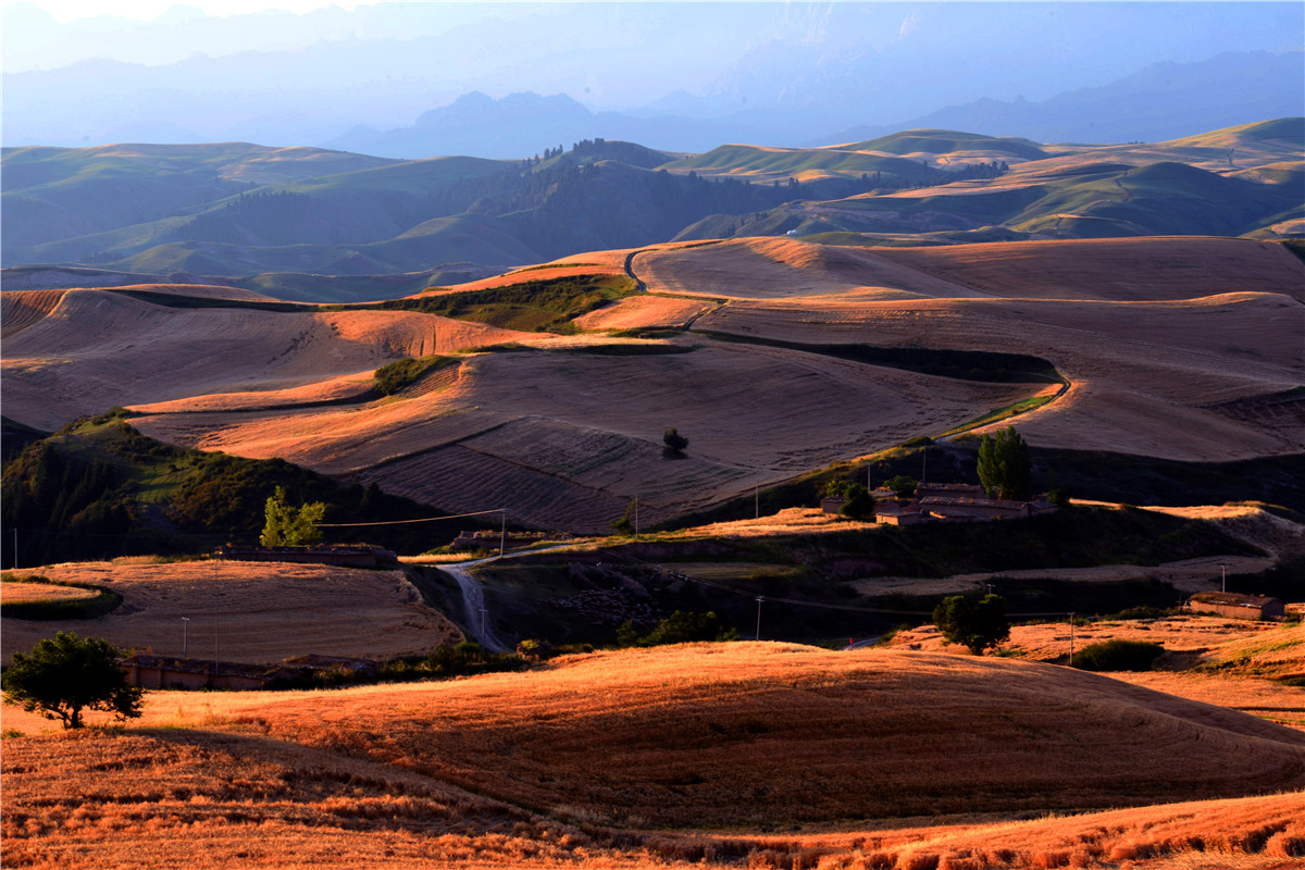 高山牧场、牛羊成群；山峦起伏，麦浪翻涌。这里有古城风貌，有草原风情，更有吃不完的美食。赏奇台美景之余，敬请参加奇台县“迎中秋、庆十一”诗歌征稿活动！获奖诗人可赴新疆奇台参加“迎中秋、庆十一”诗歌朗诵会，亲自观赏美景、品尝美食，往返交通及食宿费用由主办方承担！<a href="http://www.zgshige.cn/c/2016-08-10/1622271.shtml" target="_blank">点击此处查看投稿方式</a>
