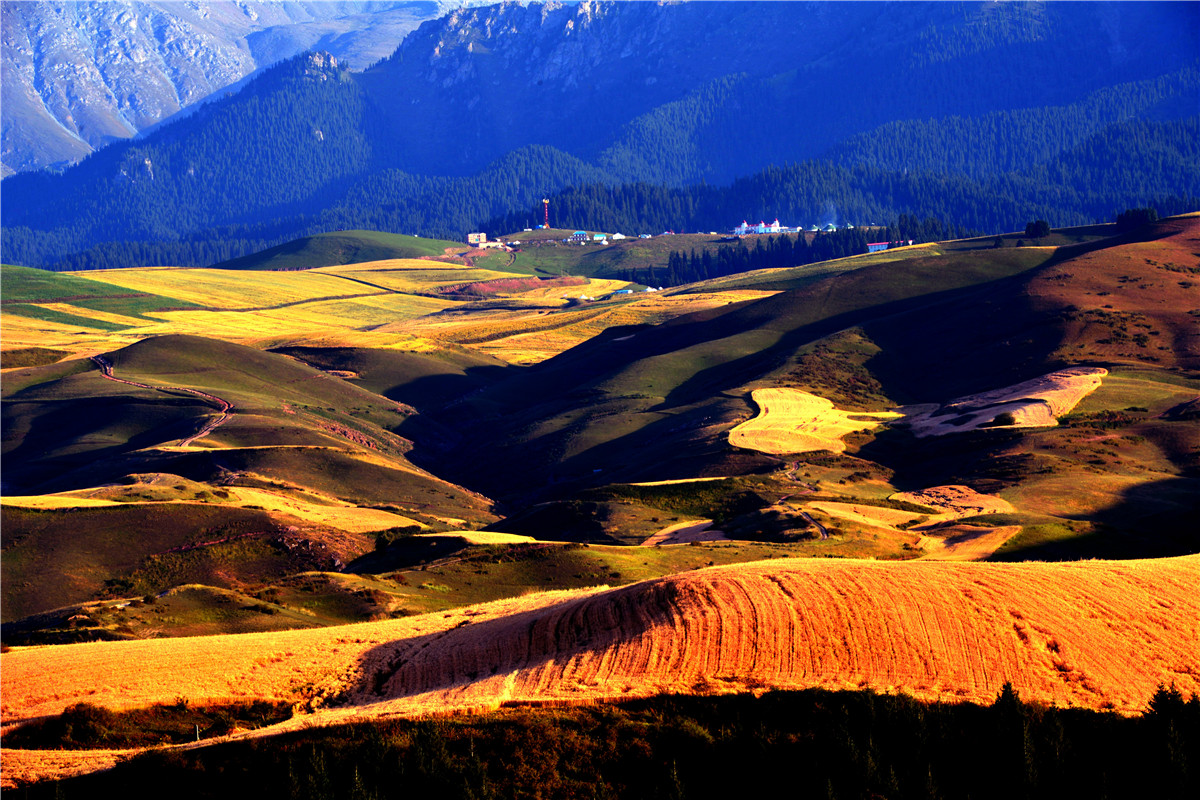 高山牧场、牛羊成群；山峦起伏，麦浪翻涌。这里有古城风貌，有草原风情，更有吃不完的美食。赏奇台美景之余，敬请参加奇台县“迎中秋、庆十一”诗歌征稿活动！获奖诗人可赴新疆奇台参加“迎中秋、庆十一”诗歌朗诵会，亲自观赏美景、品尝美食，往返交通及食宿费用由主办方承担！<a href="http://www.zgshige.cn/c/2016-08-10/1622271.shtml" target="_blank">点击此处查看投稿方式</a>