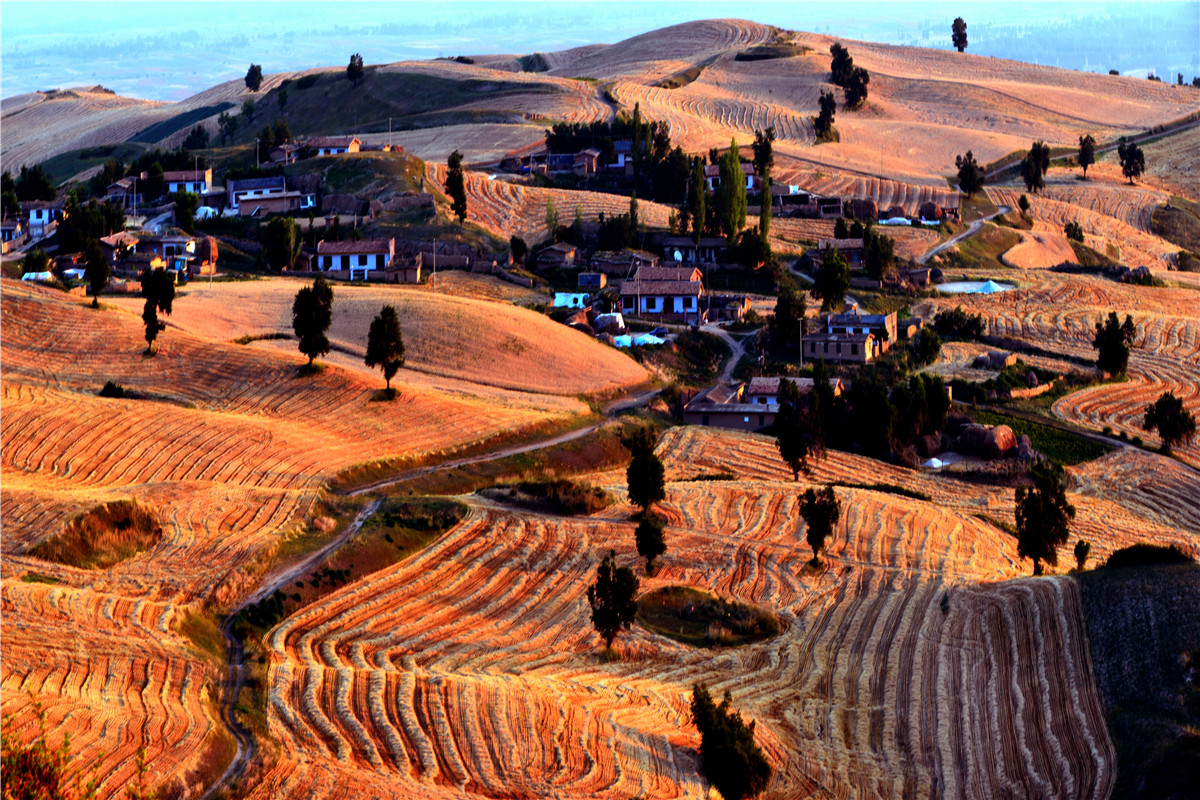 高山牧场、牛羊成群；山峦起伏，麦浪翻涌。这里有古城风貌，有草原风情，更有吃不完的美食。赏奇台美景之余，敬请参加奇台县“迎中秋、庆十一”诗歌征稿活动！获奖诗人可赴新疆奇台参加“迎中秋、庆十一”诗歌朗诵会，亲自观赏美景、品尝美食，往返交通及食宿费用由主办方承担！<a href="http://www.zgshige.cn/c/2016-08-10/1622271.shtml" target="_blank">点击此处查看投稿方式</a>