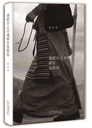 我把自己分成碎片发给你-精装立体_副本