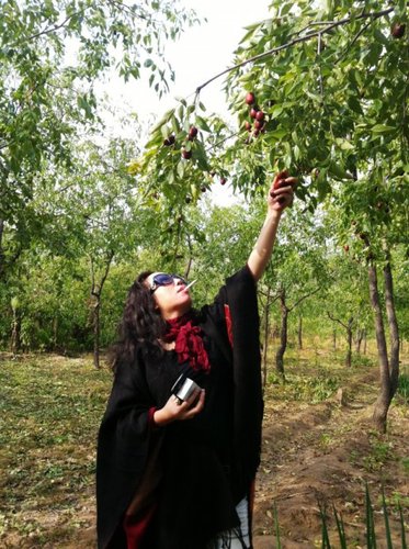 49cd78c4xcc4db0074874&690