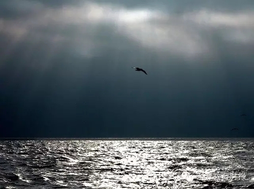 640.webp (2) 640.webp (2)