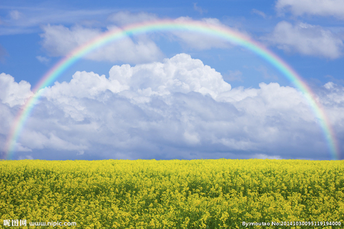 4949133_095119194000_2