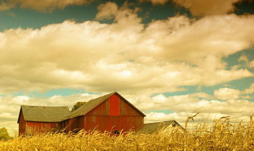 9.15每日好诗内页