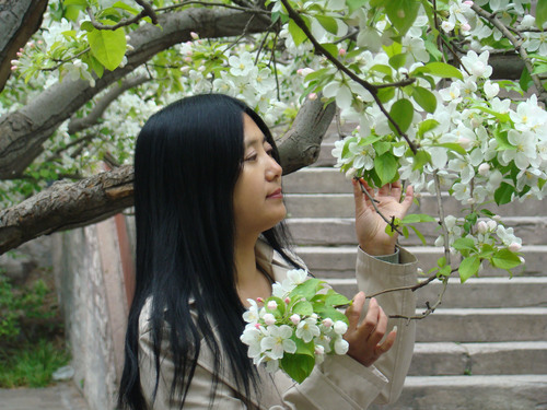 那一年， 我与微雨后的海棠