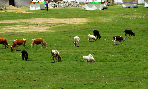 Cg-4V1Kgp36IEtI-AAMQrRxbVuoAAOA-gFLz7EAAxDF231