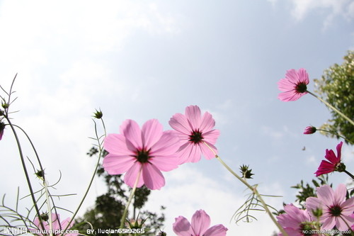 9227049_155805683000_2