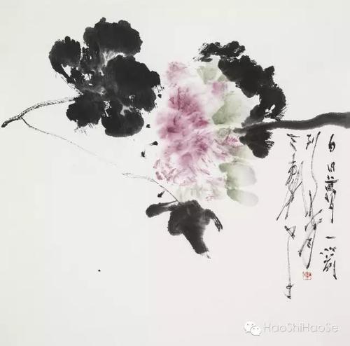 白日梦一箭到青天