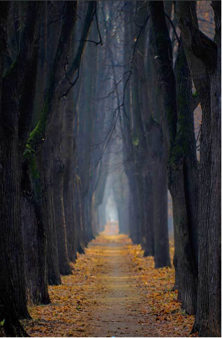 QQ图片20161102173617