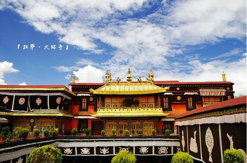 7b078b3608e35a5cddb12cfb.jpg_r_720x480x95_8d990b34 7b078b3608e35a5cddb12cfb.jpg_r_720x480x95_8d990b34