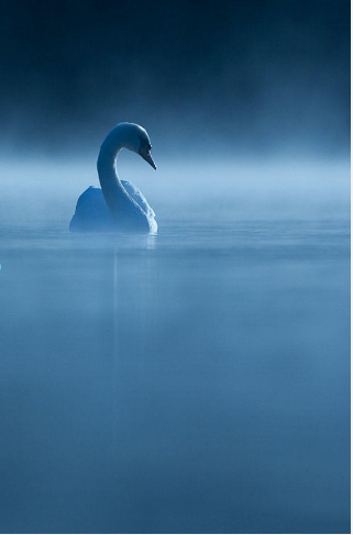 QQ图片20161104180130