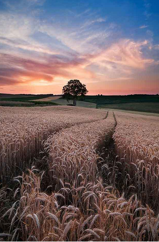 QQ图片20161122134611