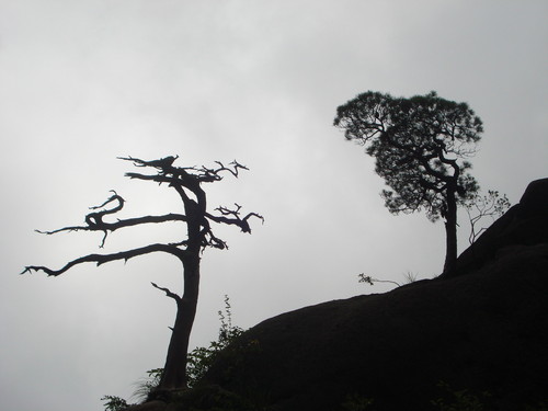 170440im2869kw9766s46t