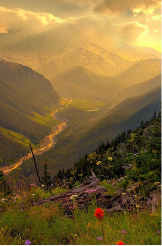 QQ图片20161204110110