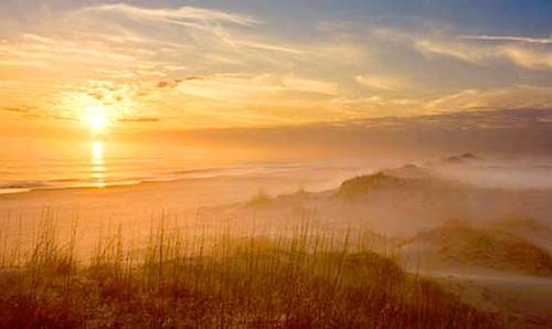 1.9每日好诗内页