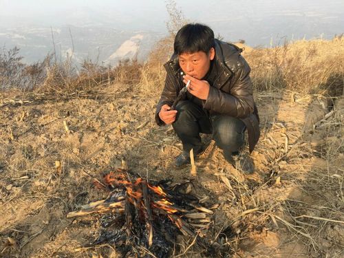 QQ图片20170119095320