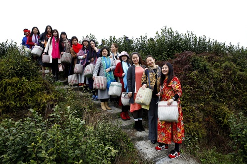 mmexport1490442939854