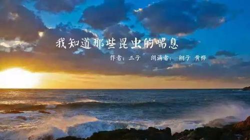 微信图片_20170420085857