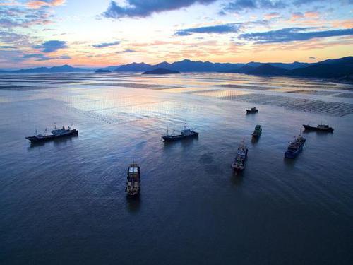 福建省霞浦县三沙镇海域几艘渔船映照在落霞中(2016年11月27日摄)。新华社记者 姜克红 摄 福建省霞浦县三沙镇海域几艘渔船映照在落霞中(2016年11月27日摄)。新华社记者 姜克红 摄