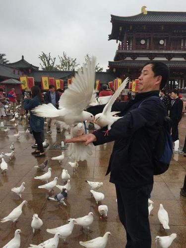 mmexport1477277262848